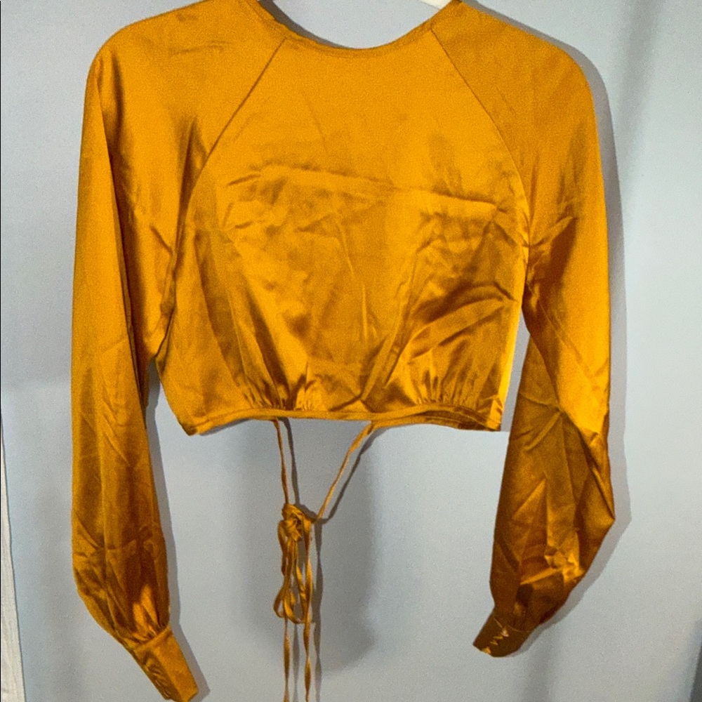 12th Tribe Gold Open Back Tie Long Sleeve Crop Top